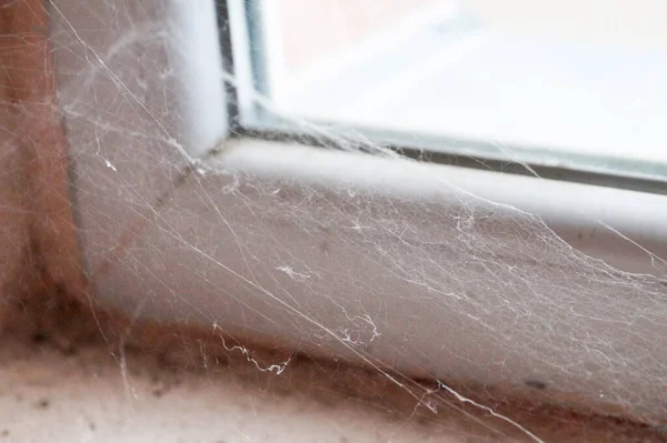 Plastic Window Frame Cobweb Mildew Close — Zdjęcie stockowe