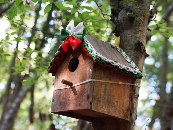 Drewniany Zdobiony Domek Dla Ptaków Drzewie Lesie — Zdjęcie stockowe