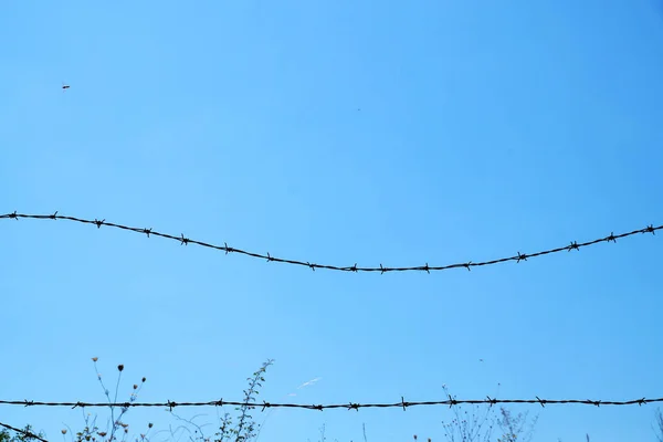 Metallstacheldraht Gegen Klaren Blauen Himmel — Stockfoto