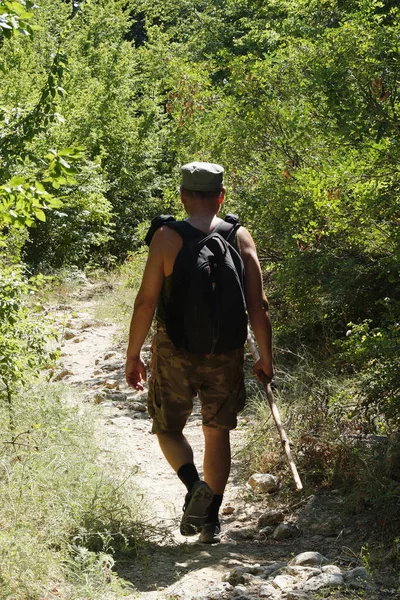 リュックを背負った男と杖を持った男が森の中の歩道を歩いていて ひとり旅をしている ハイキング旅行 — ストック写真