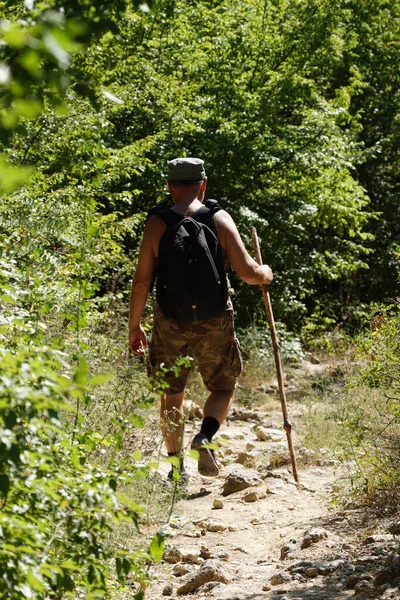 リュックを背負った男と杖を持った男が森の中の歩道を歩いていて ひとり旅をしている ハイキング旅行 — ストック写真