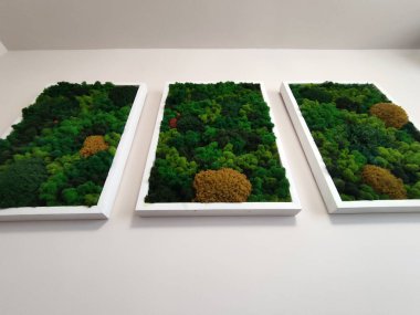 İç dekorasyonu yapay orman yosunu olan üç çerçeveli panel. Çağdaş eko-tarz duvar tasarımı.