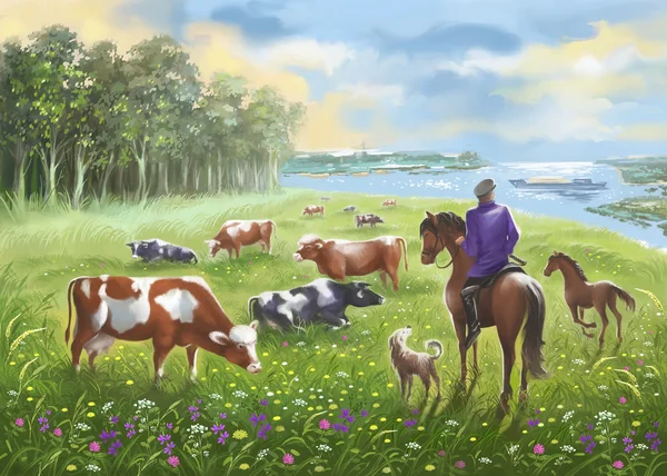 Herd of cows on a summer meadow and the shepherd on a horse. Digital illustration. — Stock Photo, Image