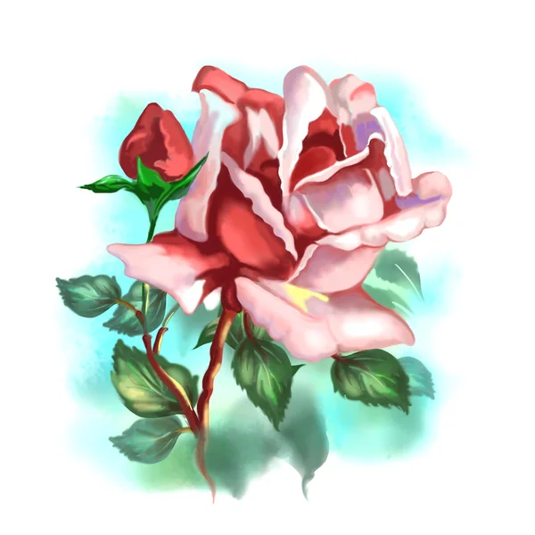 Rosa cênica bonita rosa com broto e folhas verdes. Ilustração digital . — Fotografia de Stock