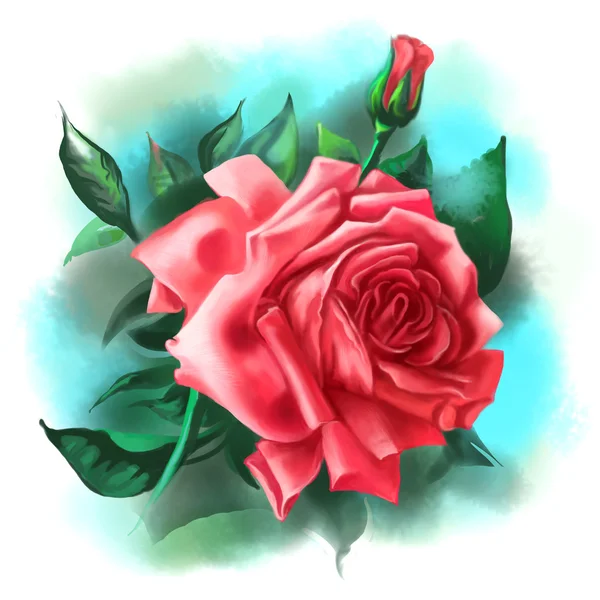 Rosa vermelha bonita com broto e folhas verdes. Ilustração digital . — Fotografia de Stock