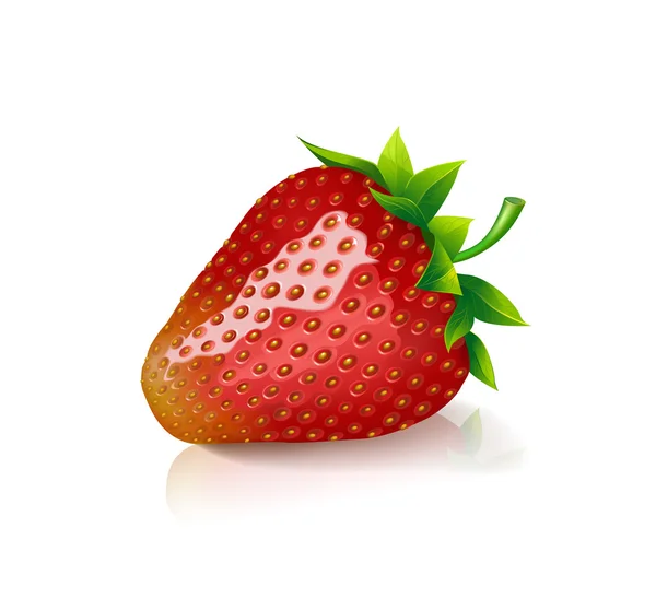 Schöne schmackhafte rote Erdbeere. Vektorillustration. — Stockvektor