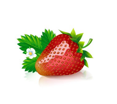 Bir çilek olgun kırmızı çilek ile yeşil yaprakları ve beyaz zemin üzerine beyaz çiçek.