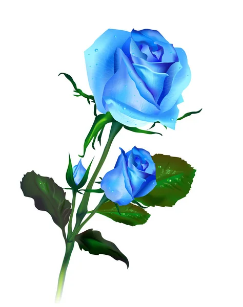 Beautiful Blue Rose Isolated White Background Photo Realistic Vector — Stock Vector