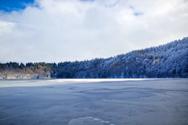 Winter en bos — Stockfoto