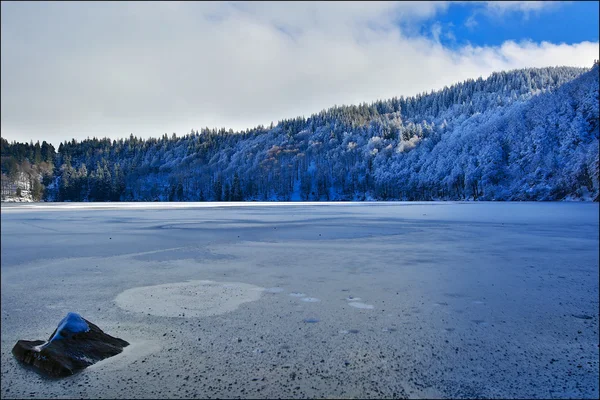 Winter und Wald — Stockfoto