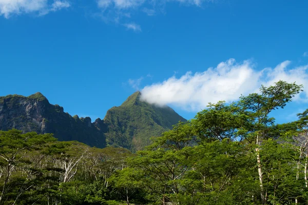 Moorea island — Stock Photo, Image