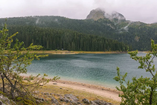 Hegy Örökzöld Tűlevelű Erdő Durmitor Montenegró Fekete — Stock Fotó