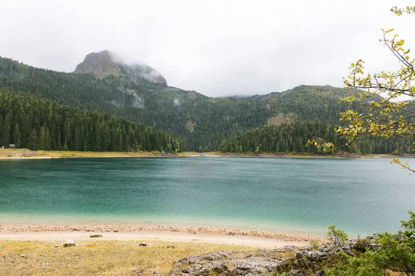 Montagne Lac Forêt Conifères Feuilles Persistantes Durmitor Monténégro Lac Noir — Photo