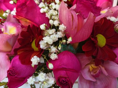 Çok renkli çiçeklerin yakın plan arkaplanı. Sığ odak derinliği. seçici odak..