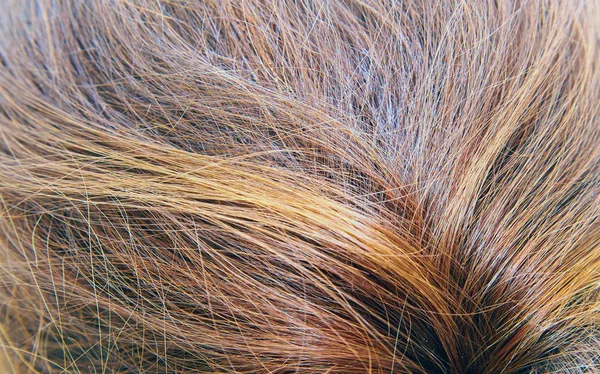 Brunette's hair close up — Stock Photo, Image