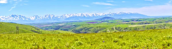 Panorama des prairies printanières en montagne — Photo