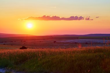 Buğday tarlasında gün batımı