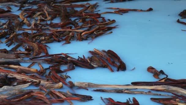 Movement of dry red logs in a blue whirlpool — Stock Video