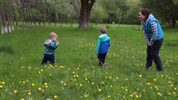La femme apprend à deux enfants à souffler sur un pissenlit, sur une clairière de fleurs — Video