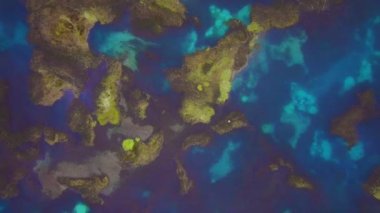 Bataklık baharı gölü üzerinde uçmak