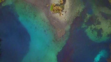 Bataklık baharı gölü üzerinde uçmak