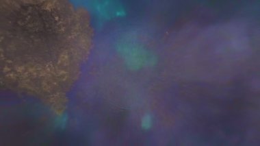 Bataklık baharı gölü üzerinde uçmak