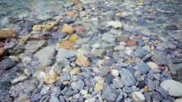 O fluxo de água clara em um fundo rochoso — Vídeo de Stock