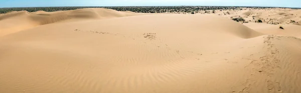 Panoramautsikt över sanddynerna — Stockfoto