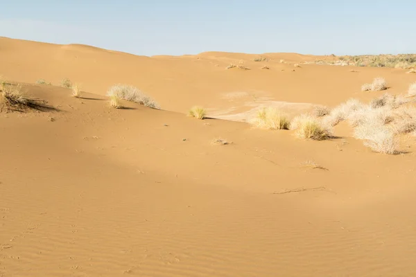 Vista panoramica delle dune di sabbia — Foto Stock