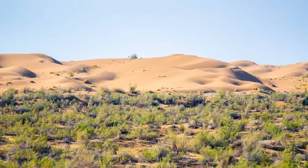 Panoramatický výhled na písečné duny — Stock fotografie