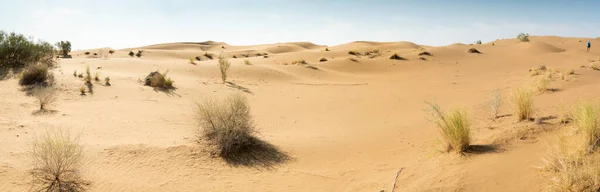 Panorámás kilátás a homokdűnékre — Stock Fotó
