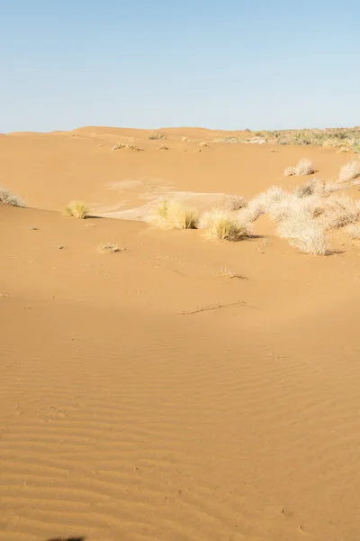 Zandduinen in de woestijn als achtergrond — Stockfoto