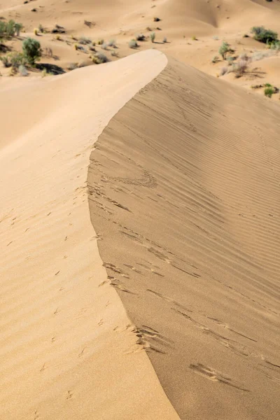 Sand sanddyner i öknen som bakgrund — Stockfoto