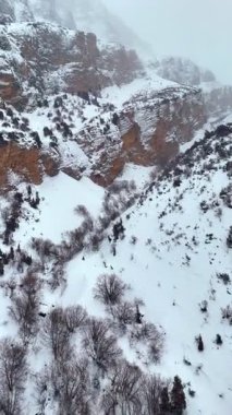 Kış panoramik karla kaplı dağlar ve kuş bakışı kanyon manzarası.