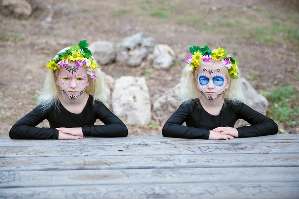 Halloween ikertestvérek az asztalra Stock Fotó