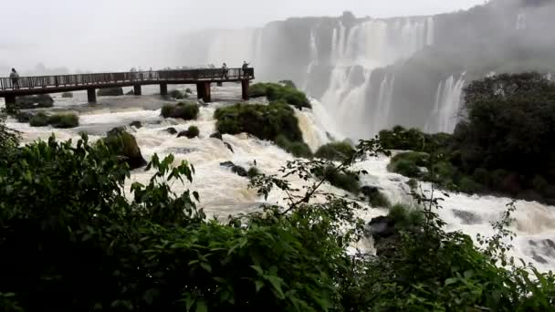 Wodospady Iguazu — Wideo stockowe