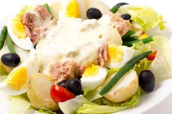 Nicoise salad side view — Stock Photo, Image