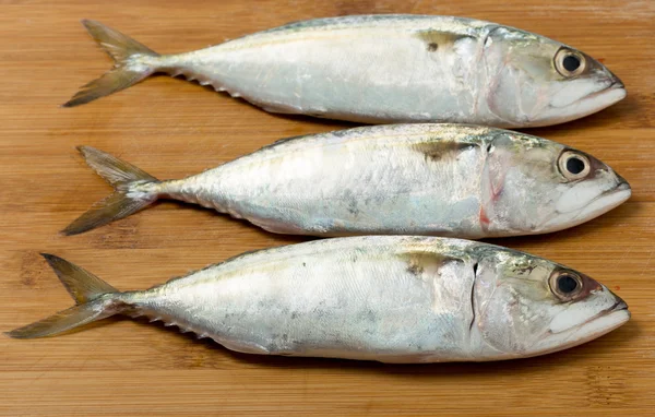 Tres peces pequeños — Foto de Stock