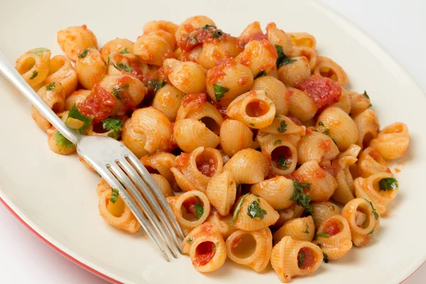 Arrabbiata macaroni pasta and fork — Stock Photo, Image