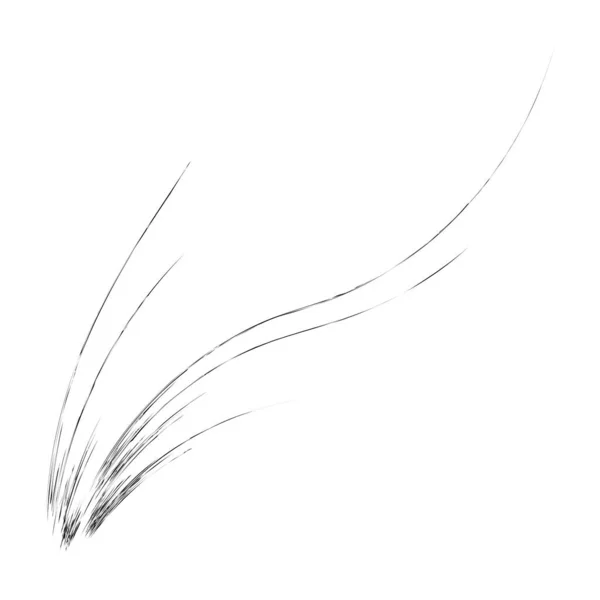 Mauvaise Herbe Biologique Comme Herbe Courbée Lignes Ondulées — Image vectorielle