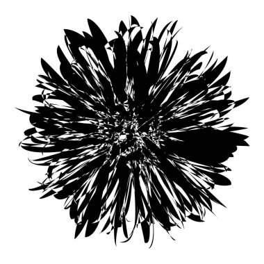 Rastgele amorf, biçimsiz şekil, element vektörü