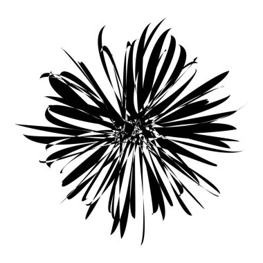 Rastgele amorf, biçimsiz şekil, element vektörü