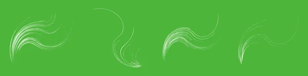 Organische Onkruid Gras Als Curvy Golvende Lijnen Vector Illustratie — Stockvector