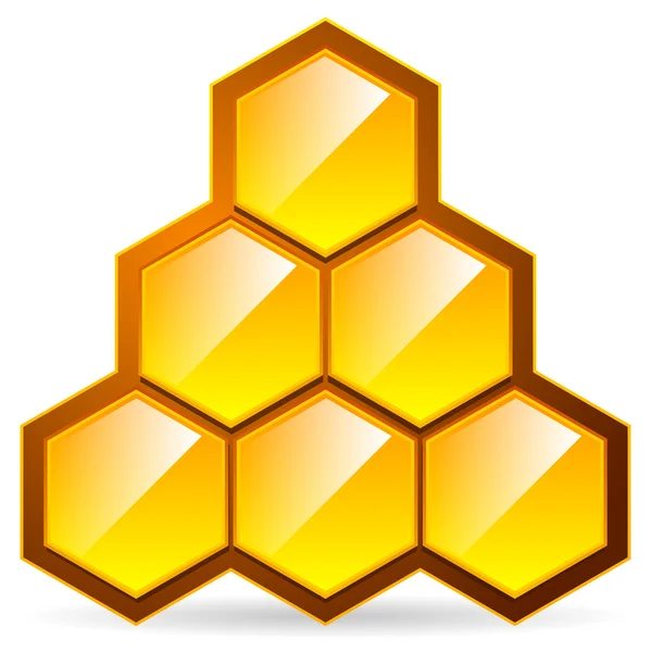 Honeycomb, honey cell illustration — Stock Vector