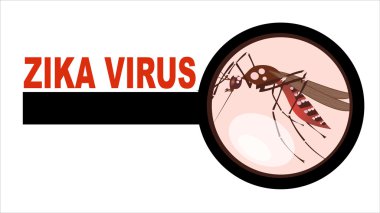 Spread of zika and dengue virus