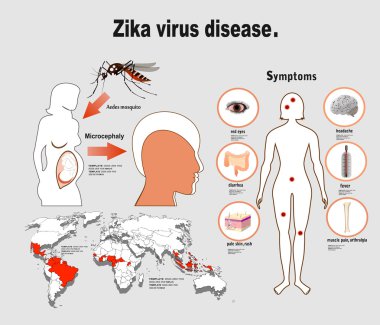 Zika virüs belirtileri infographics harita ile