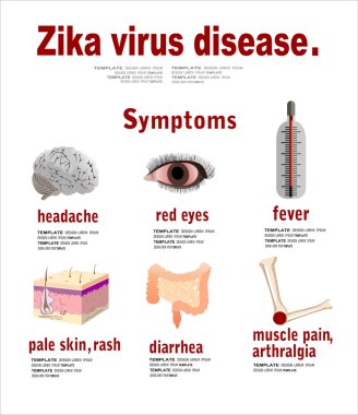 Zika virüs belirtileri
