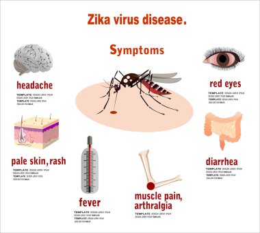 Zika virüs belirtileri