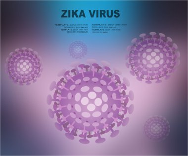 Zika ateş neden olan virüs