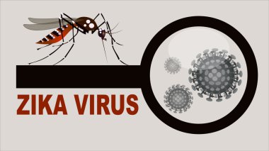 Spread of zika and dengue virus clipart